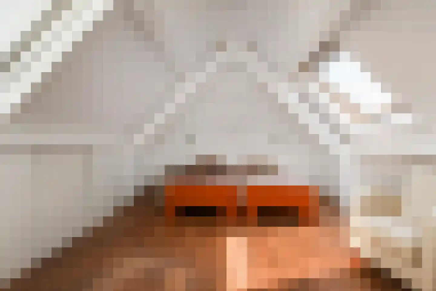 Kasselbruin 8 Zoetermeer thumbnail 43