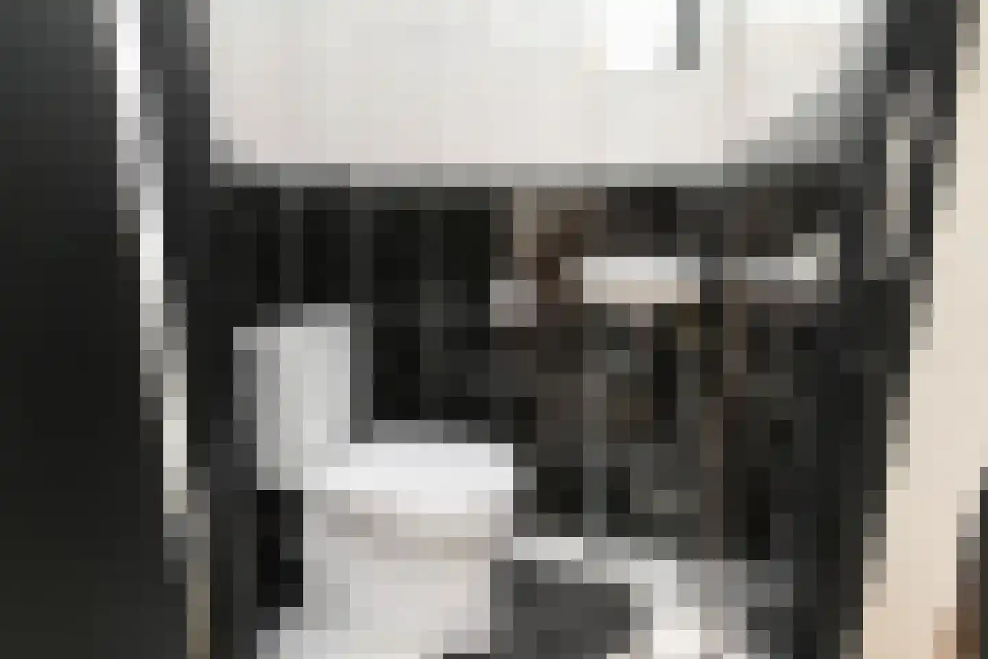 Kasselbruin 8 Zoetermeer thumbnail 46