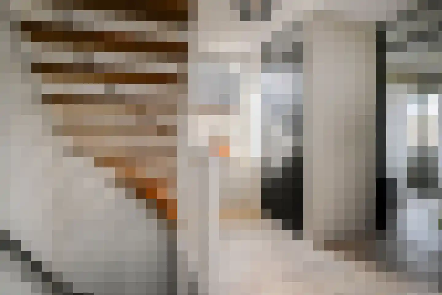 Kasselbruin 8 Zoetermeer thumbnail 47