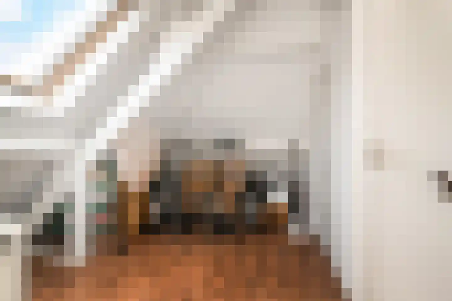 Kasselbruin 8 Zoetermeer thumbnail 48