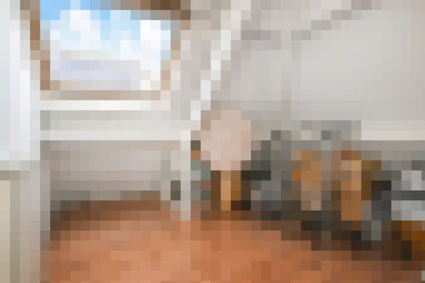 Kasselbruin 8 Zoetermeer thumbnail 49