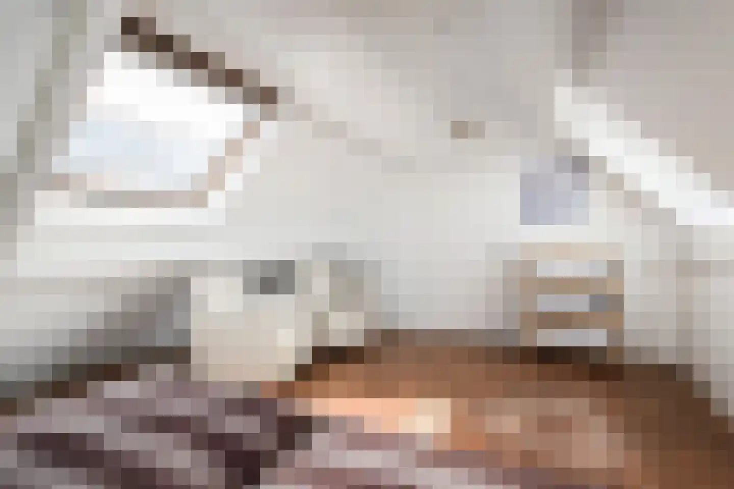 Kasselbruin 8 Zoetermeer thumbnail 50