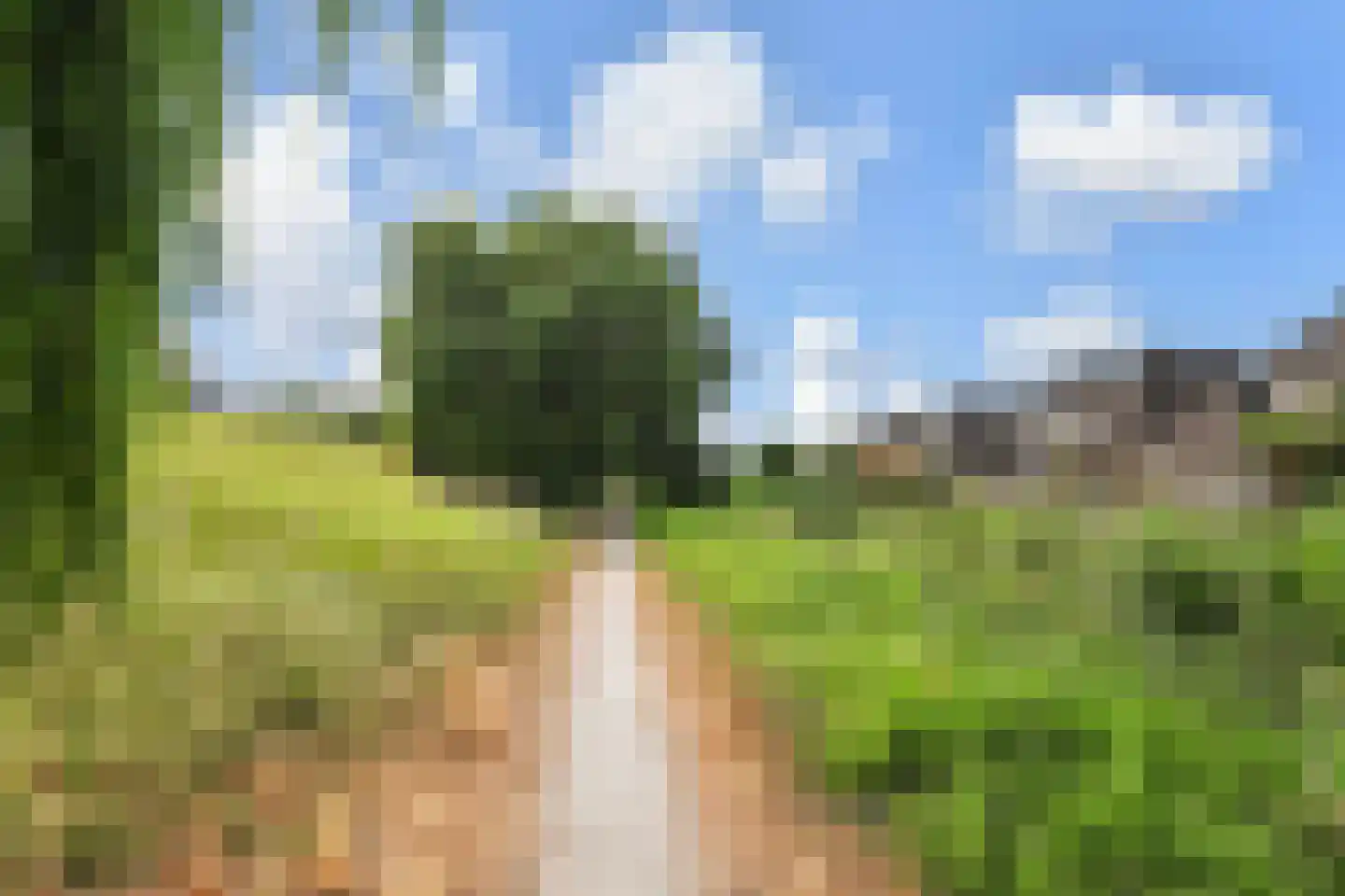 Kasselbruin 8 Zoetermeer thumbnail 52