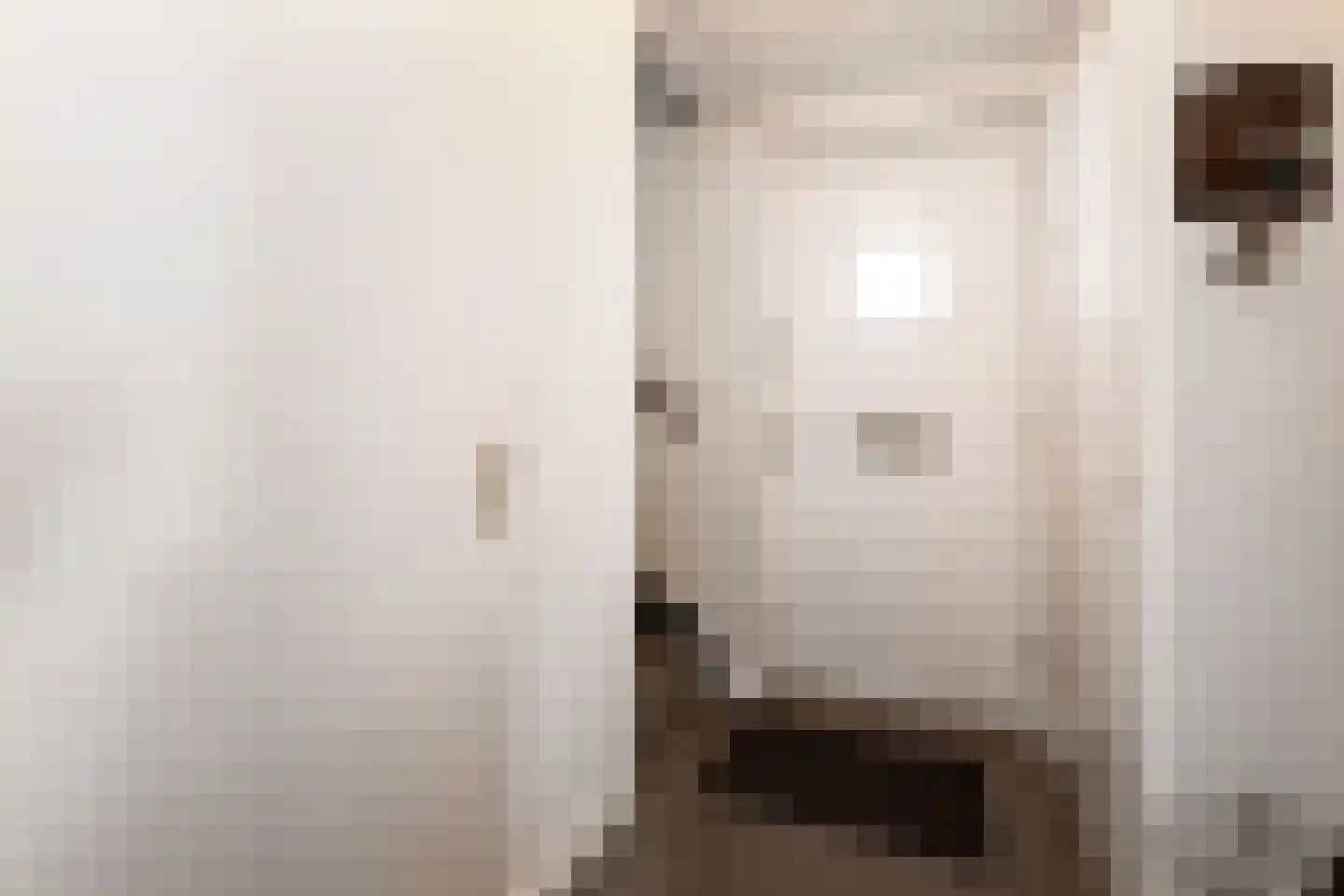 Kasselbruin 8 Zoetermeer thumbnail 7
