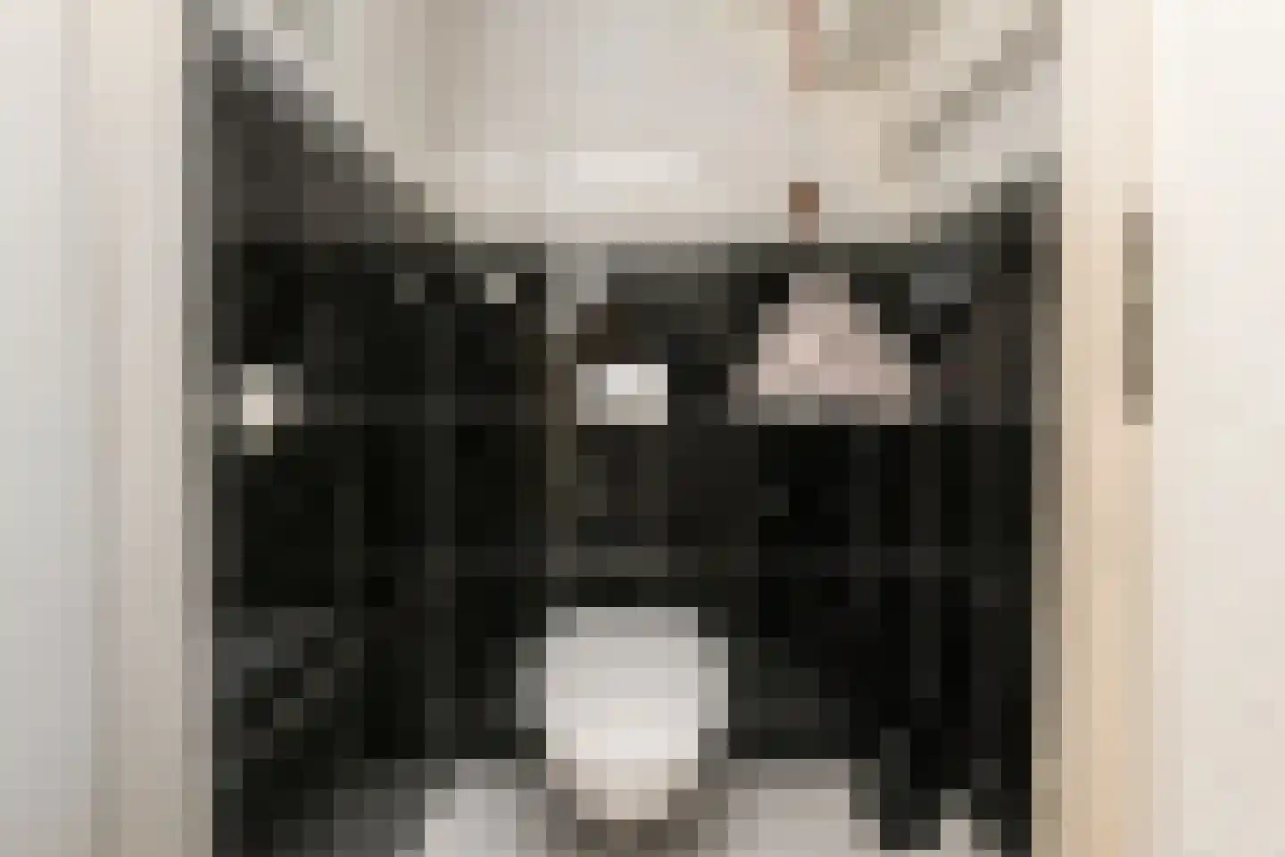 Kasselbruin 8 Zoetermeer thumbnail 8