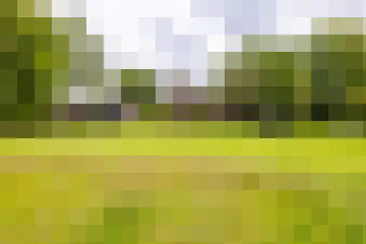 Kasselderstraat 11 Sinderen thumbnail 100