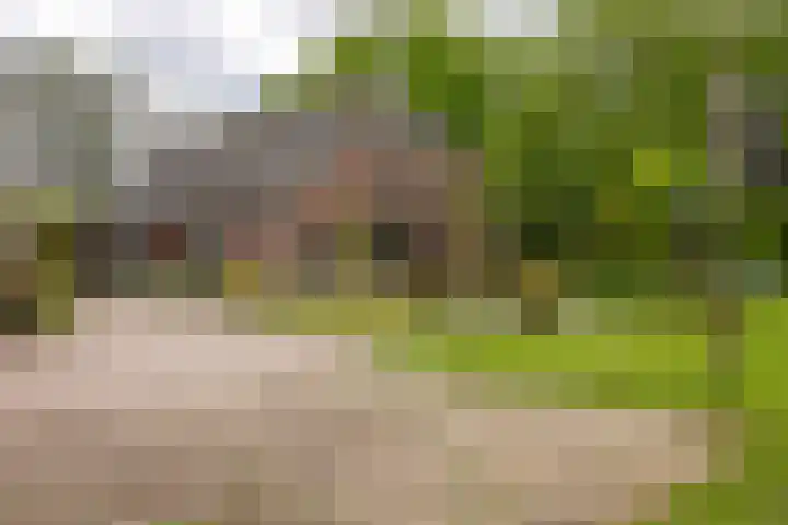 Kasselderstraat 11 Sinderen thumbnail 102