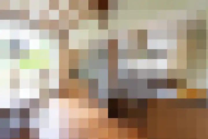 Kasselderstraat 11 Sinderen thumbnail 15
