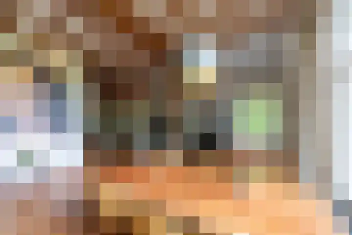 Kasselderstraat 11 Sinderen thumbnail 23