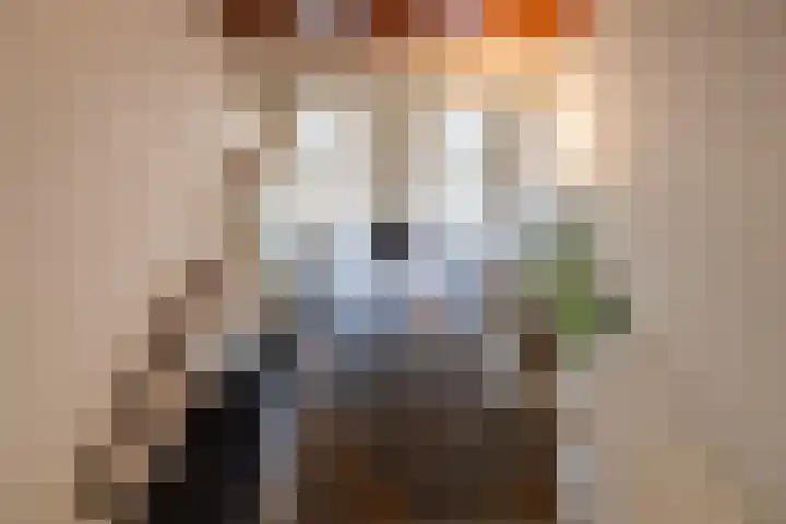 Kasselderstraat 11 Sinderen thumbnail 58