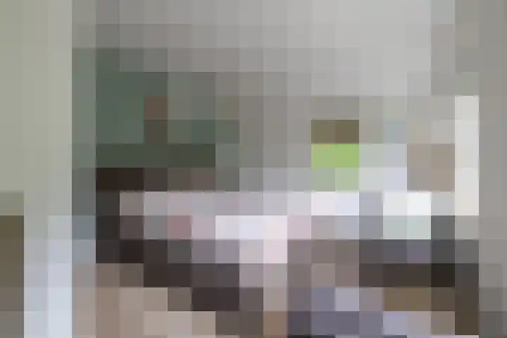 Kasselderstraat 11 Sinderen thumbnail 66