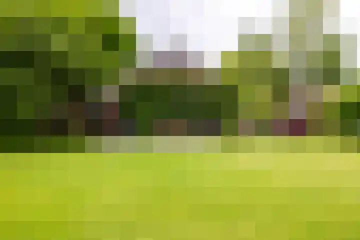Kasselderstraat 11 Sinderen thumbnail 87