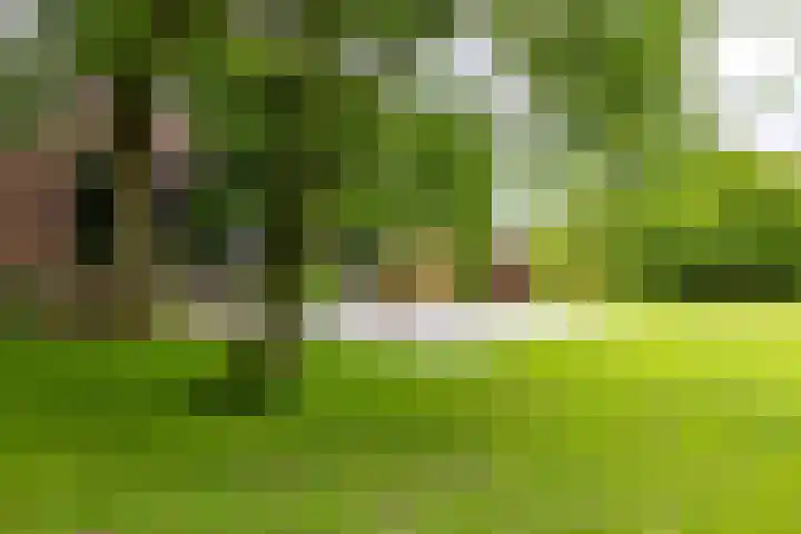 Kasselderstraat 11 Sinderen thumbnail 90