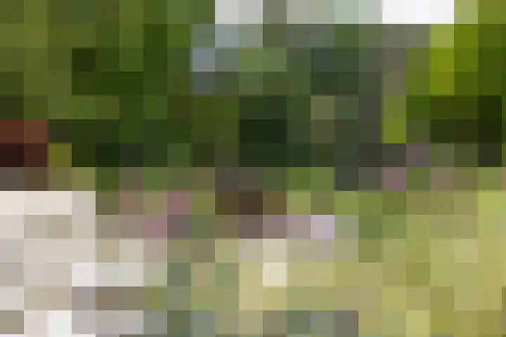 Kasselderstraat 11 Sinderen thumbnail 92