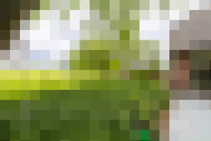 Kasselderstraat 11 Sinderen thumbnail 93
