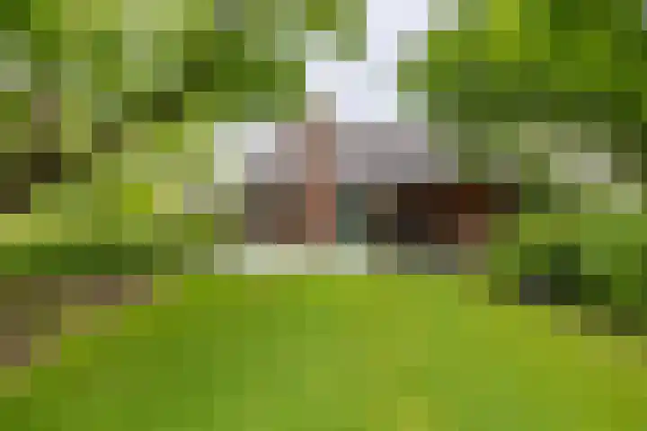 Kasselderstraat 11 Sinderen thumbnail 95