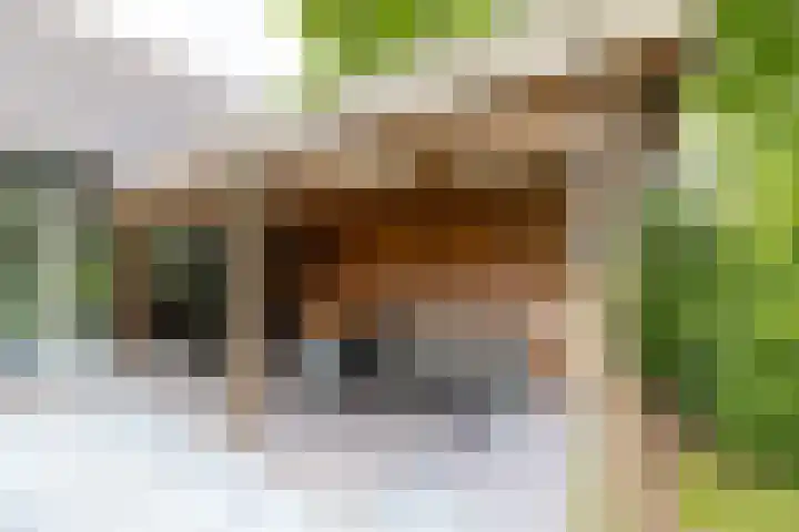 Kasselderstraat 11 Sinderen thumbnail 97