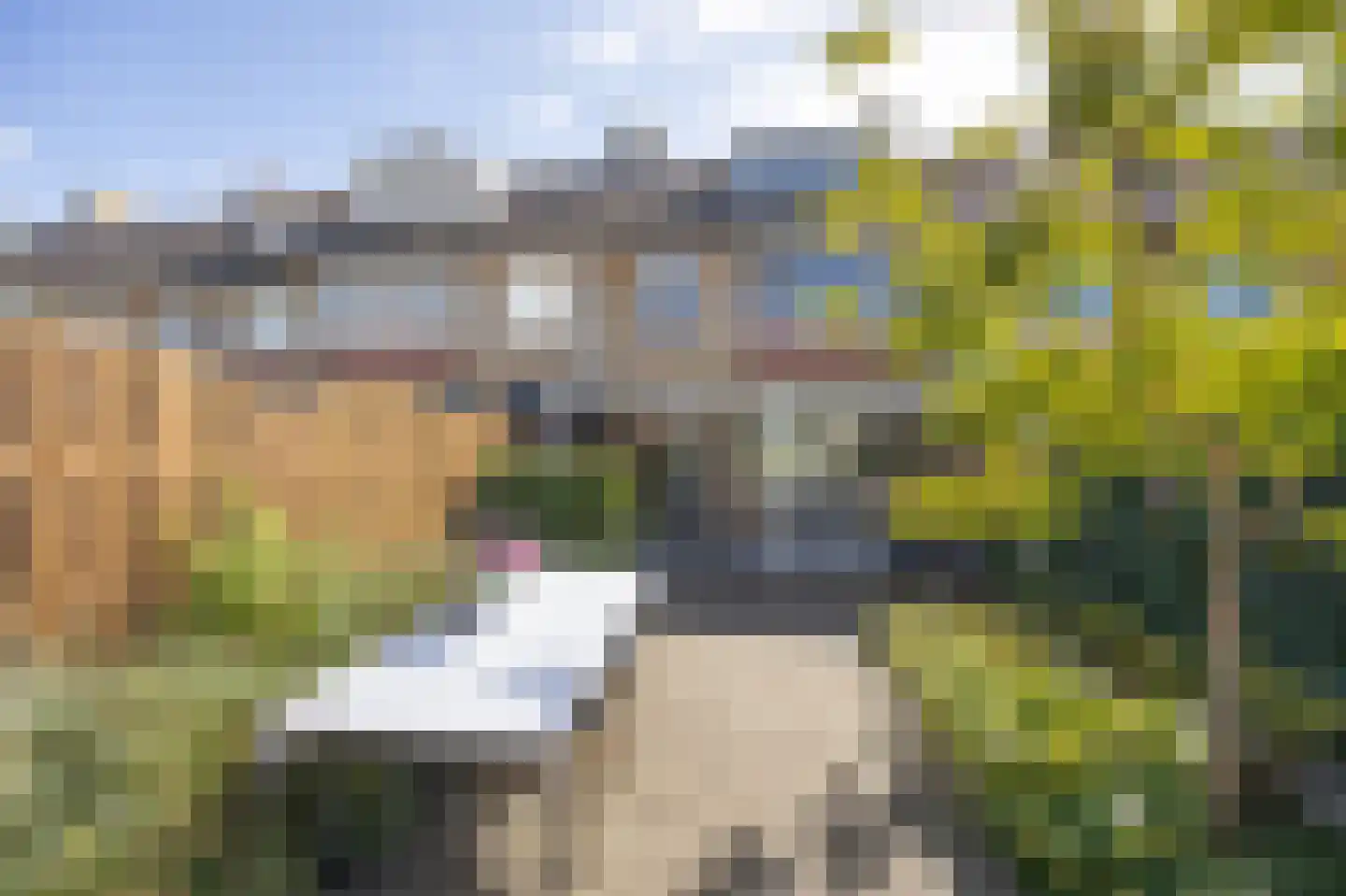 Kasselstraat 12 Etten-Leur thumbnail 38