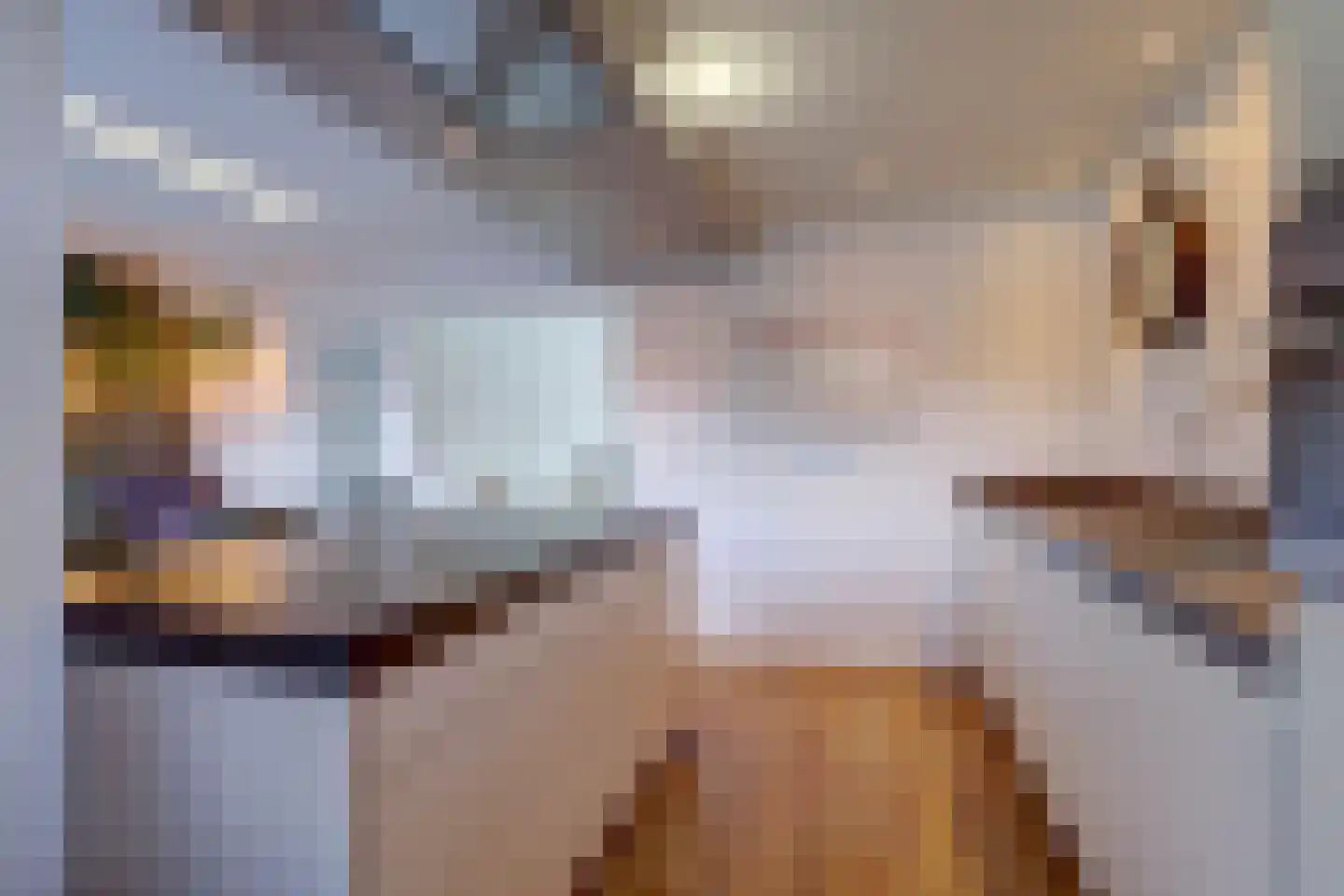Kassenberg 3 Epse thumbnail 15