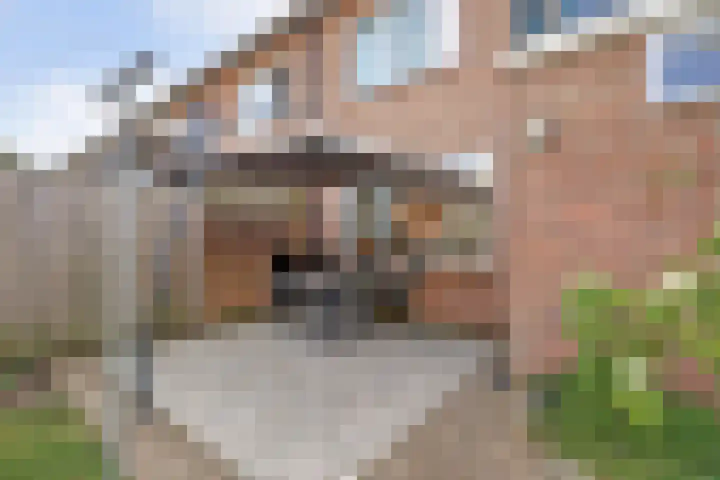 Kassenberg 3 Epse thumbnail 36