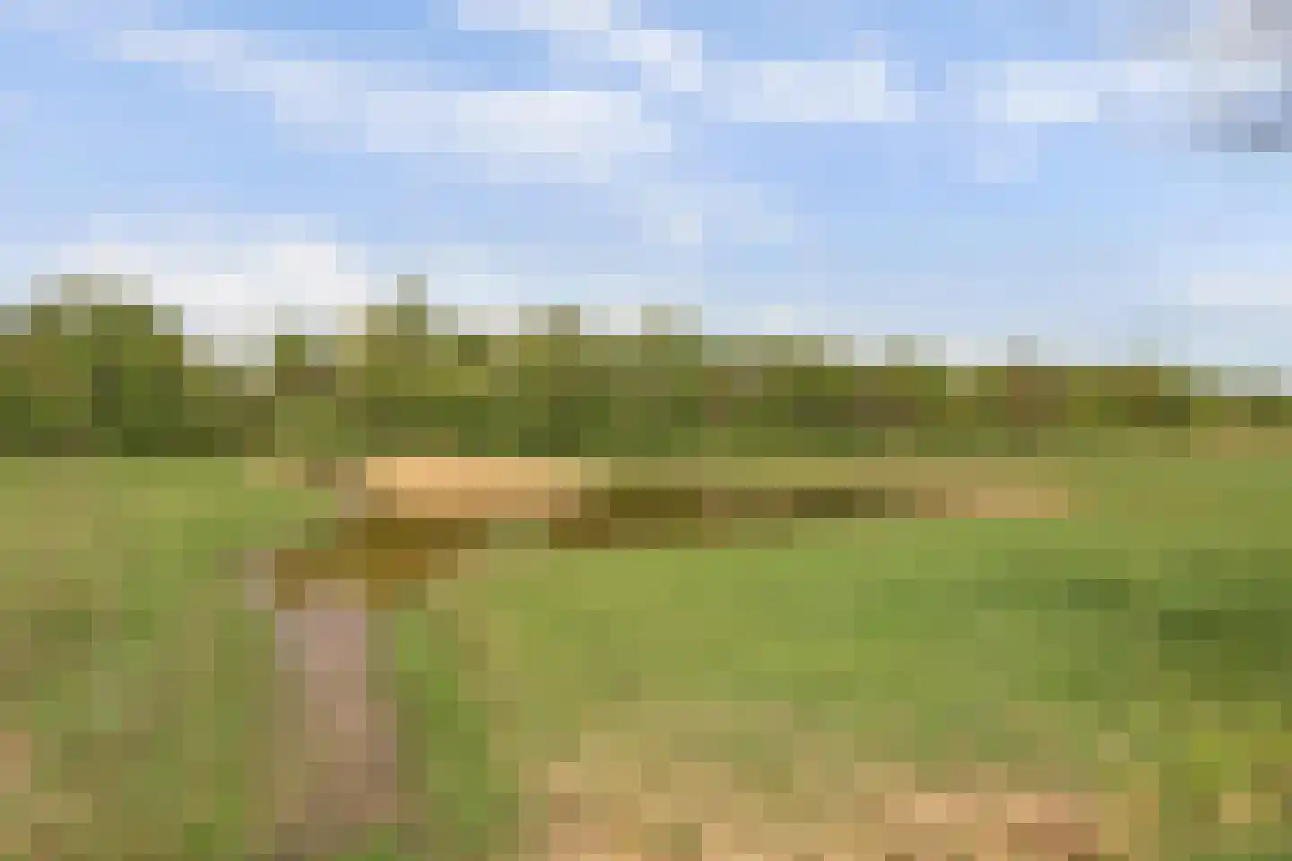 Kassenberg 3 Epse thumbnail 39