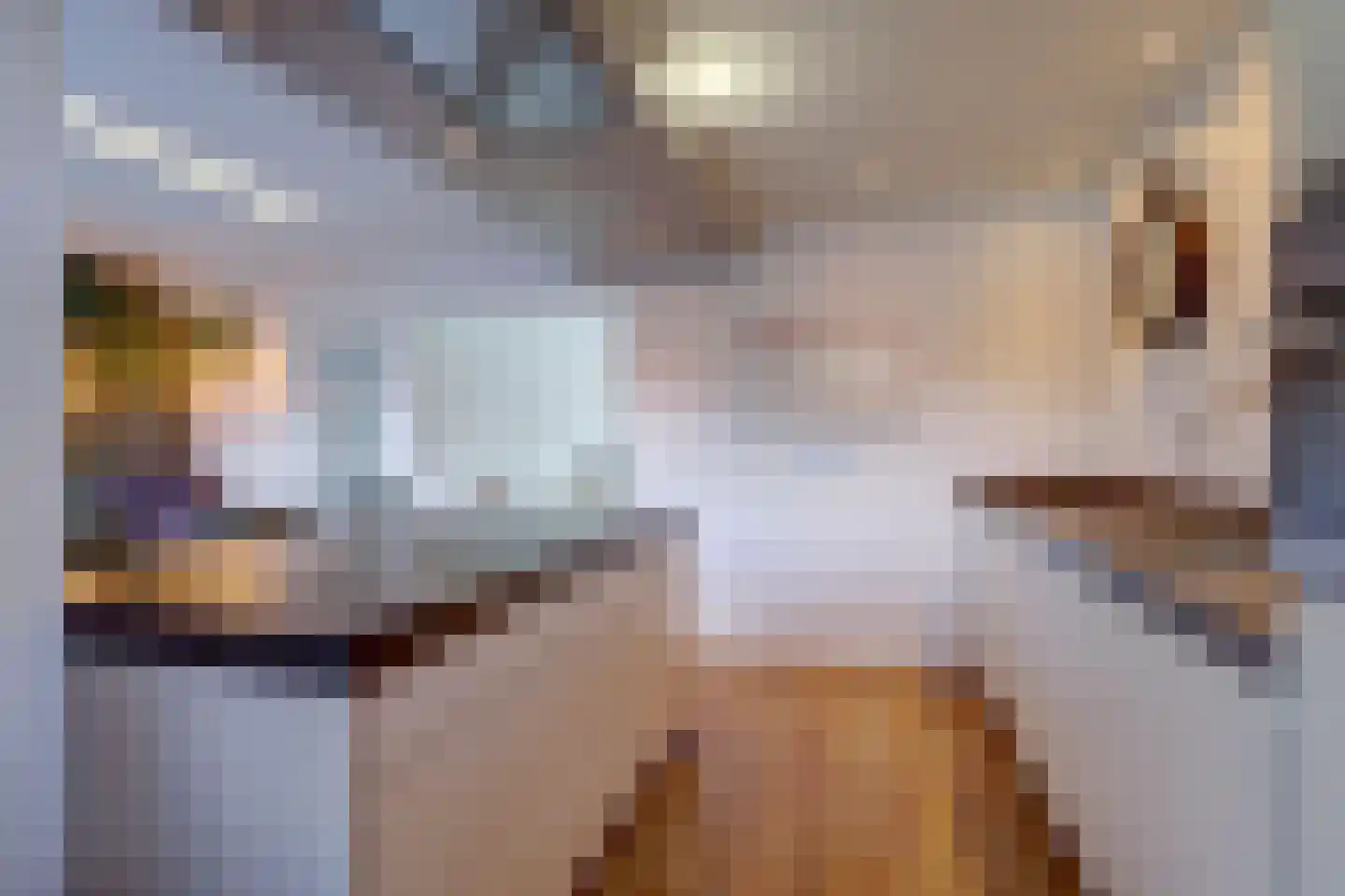 Kassenberg 3 Epse thumbnail 4
