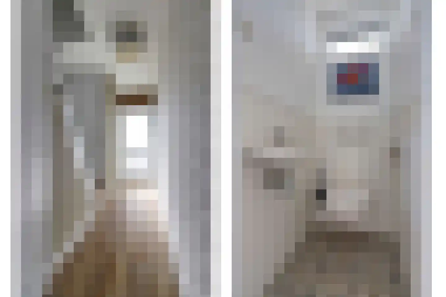 Kassenberg 3 Epse thumbnail 5