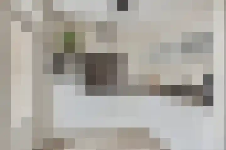 Kastanje 21 Best thumbnail 10
