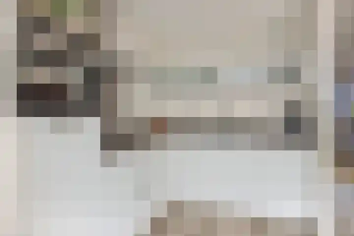 Kastanje 21 Best thumbnail 11