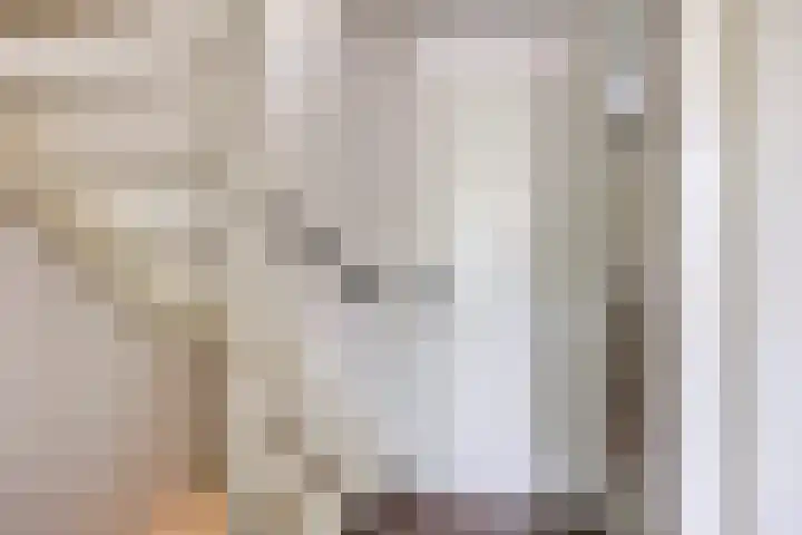 Kastanje 21 Best thumbnail 12