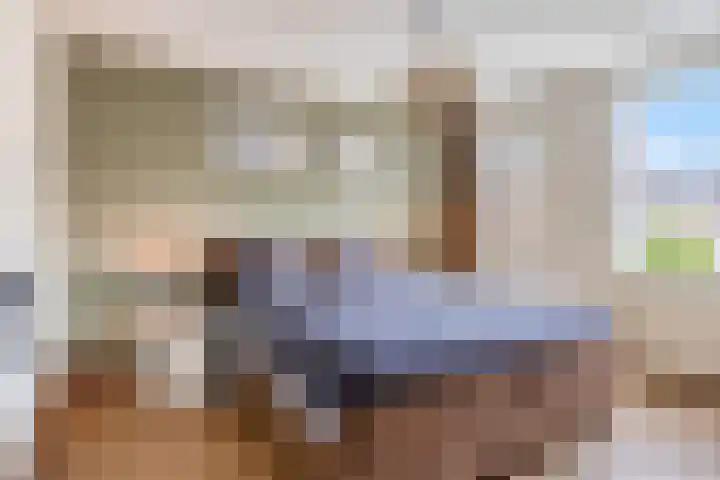 Kastanje 21 Best thumbnail 13