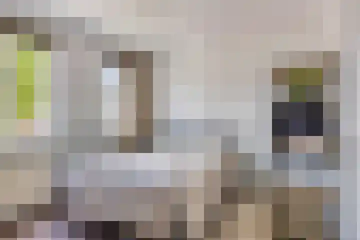 Kastanje 21 Best thumbnail 15