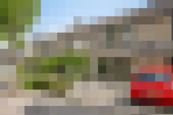 Kastanje 21 Best foto 2
