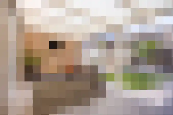 Kastanje 21 Best thumbnail 22