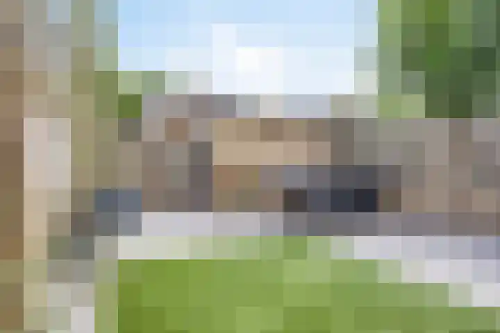 Kastanje 21 Best thumbnail 23
