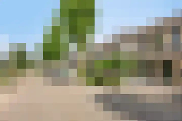 Kastanje 21 Best thumbnail 26