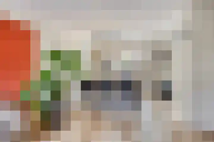 Kastanje 21 Best thumbnail 6