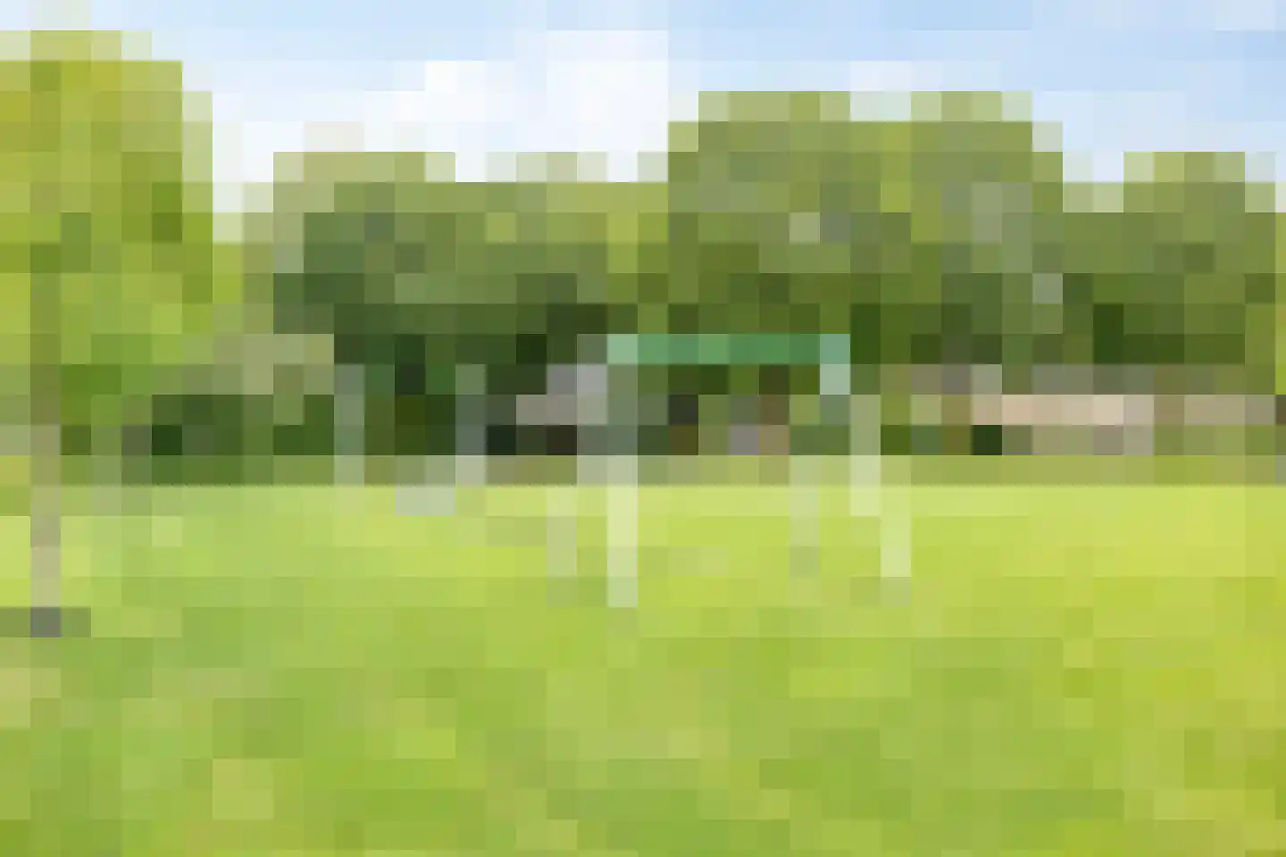 Kastanje 38 Best thumbnail 38
