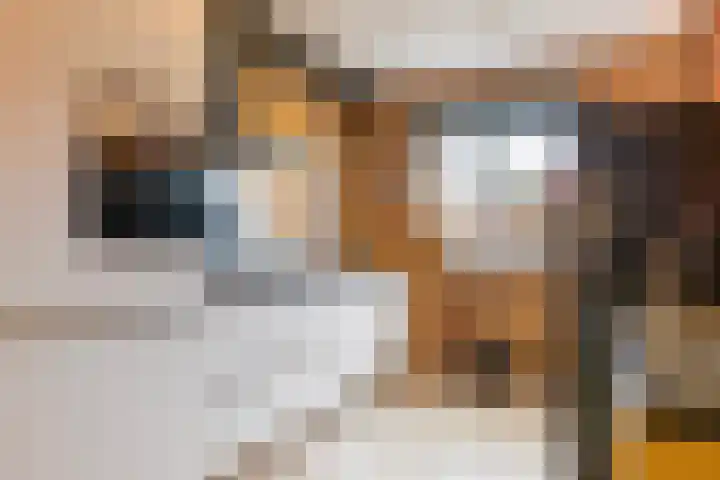 Kastanjeboleet 30 Apeldoorn thumbnail 12