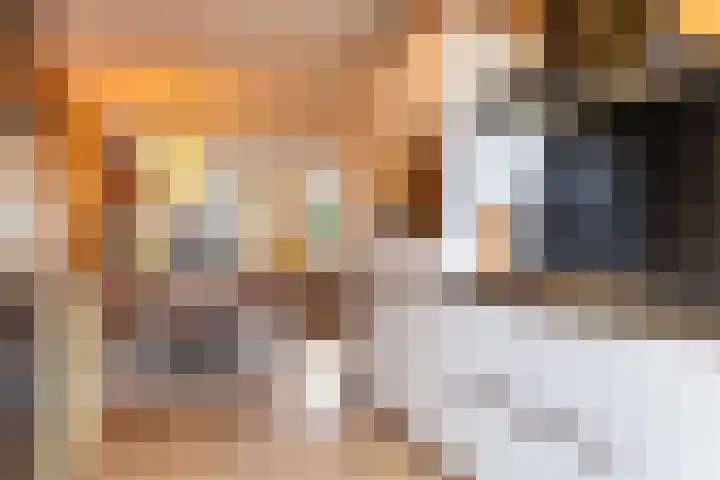 Kastanjeboleet 30 Apeldoorn thumbnail 14