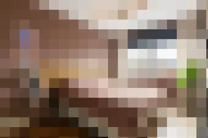 Kastanjeboleet 30 Apeldoorn thumbnail 16