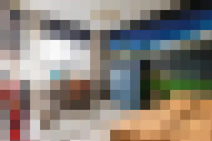 Kastanjeboleet 30 Apeldoorn thumbnail 17