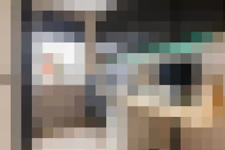 Kastanjeboleet 30 Apeldoorn thumbnail 18