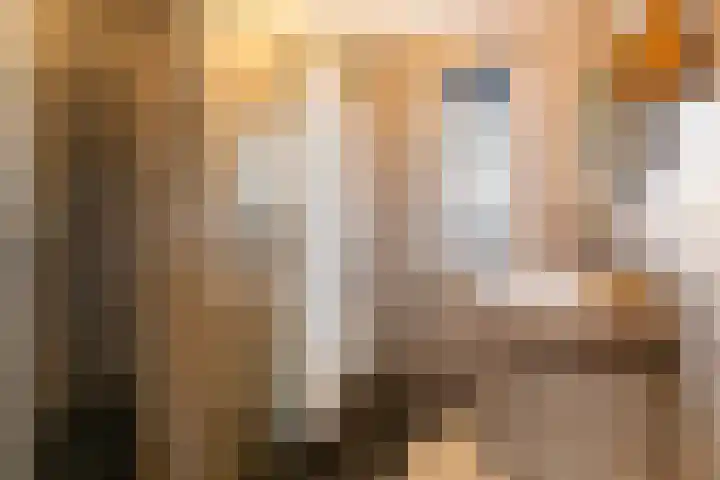 Kastanjeboleet 30 Apeldoorn thumbnail 19