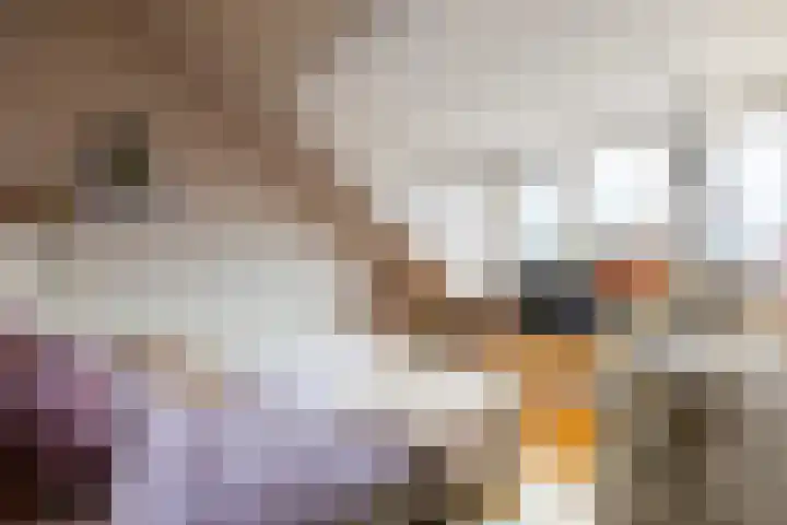 Kastanjeboleet 30 Apeldoorn thumbnail 23