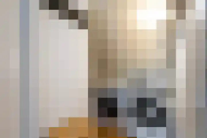 Kastanjeboleet 30 Apeldoorn thumbnail 24