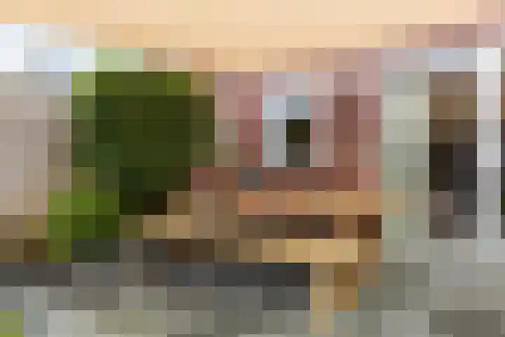 Kastanjeboleet 30 Apeldoorn thumbnail 26