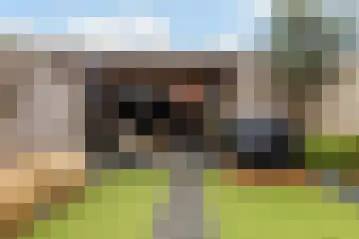 Kastanjeboleet 30 Apeldoorn thumbnail 27