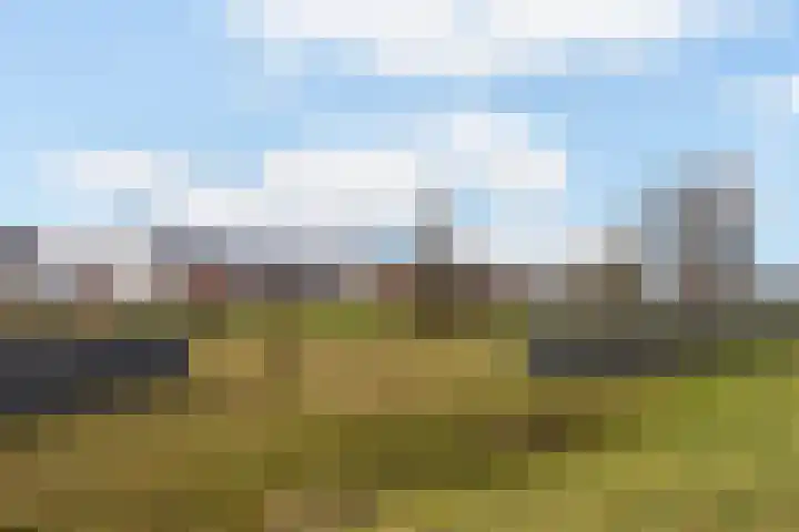 Kastanjeboleet 30 Apeldoorn thumbnail 31