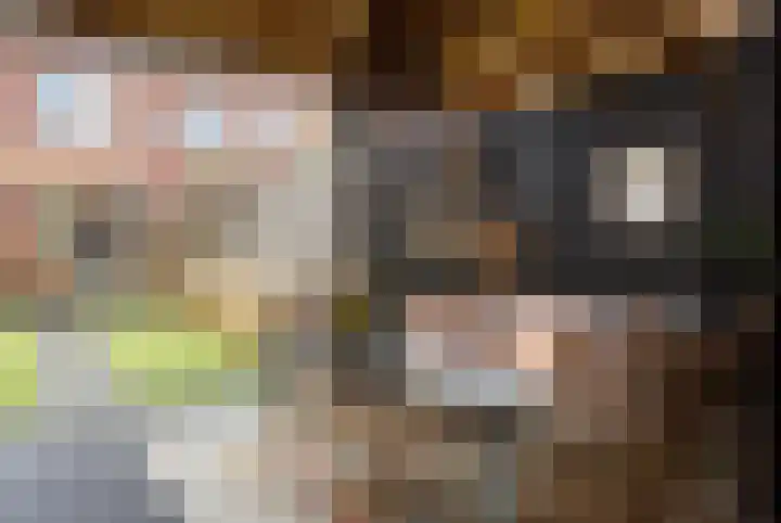 Kastanjeboleet 30 Apeldoorn thumbnail 4